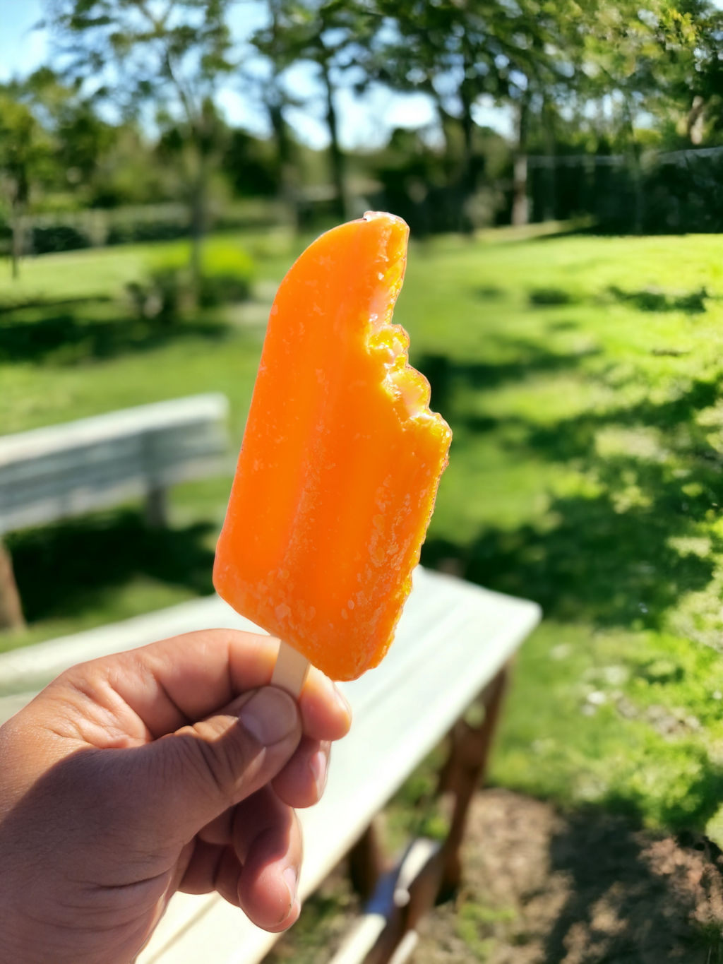 Caja de Paletas de Chirimoya Alegre  (48 paletas) Sin sellos